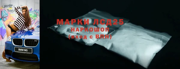 мдпв Бердск
