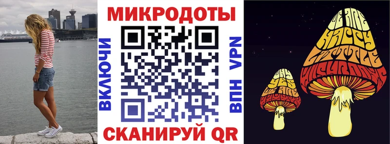 Галлюциногенные грибы Psilocybine cubensis  купить наркотики сайты  Звенигово 